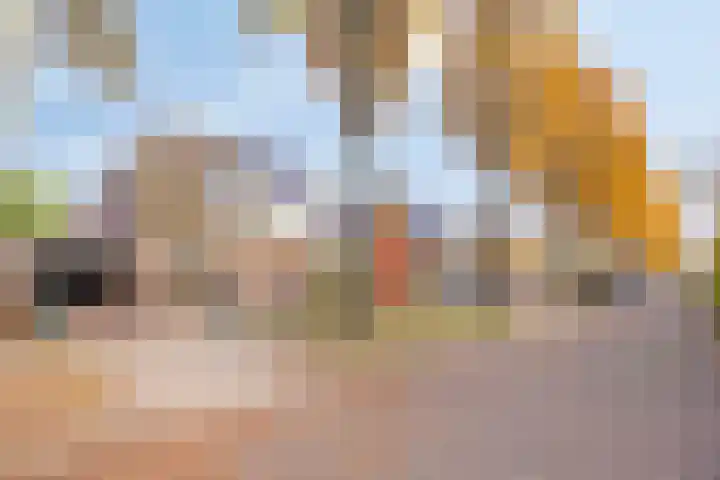 Atalantastraat 53 Oss thumbnail 30