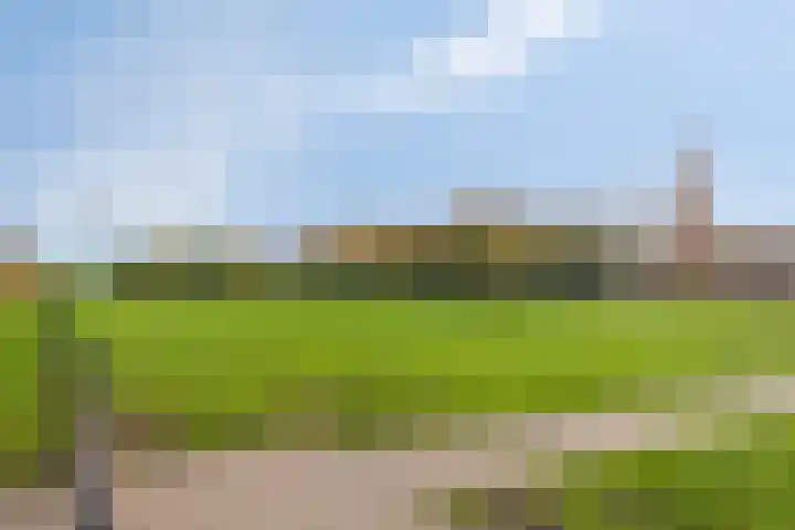 Atalantastraat 53 Oss thumbnail 34