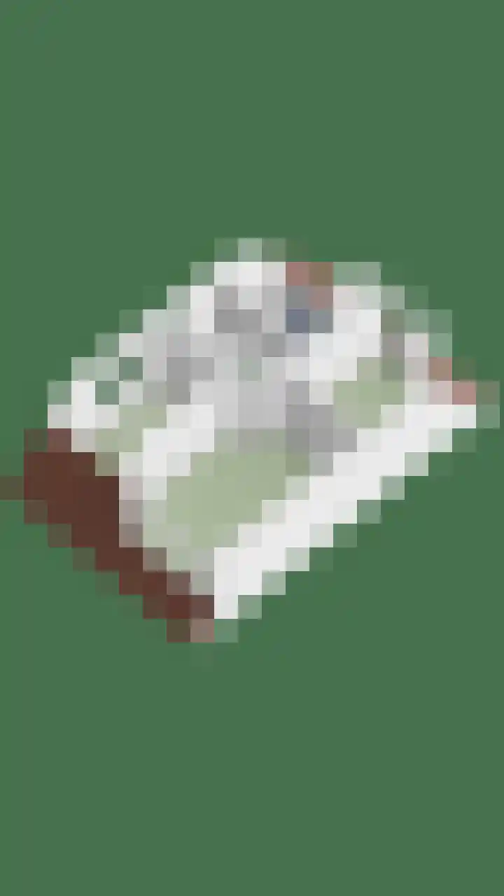 Atalantastraat 53 Oss thumbnail 41