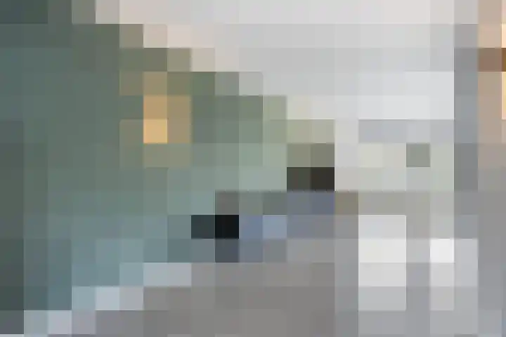 Atalantastraat 53 Oss thumbnail 5
