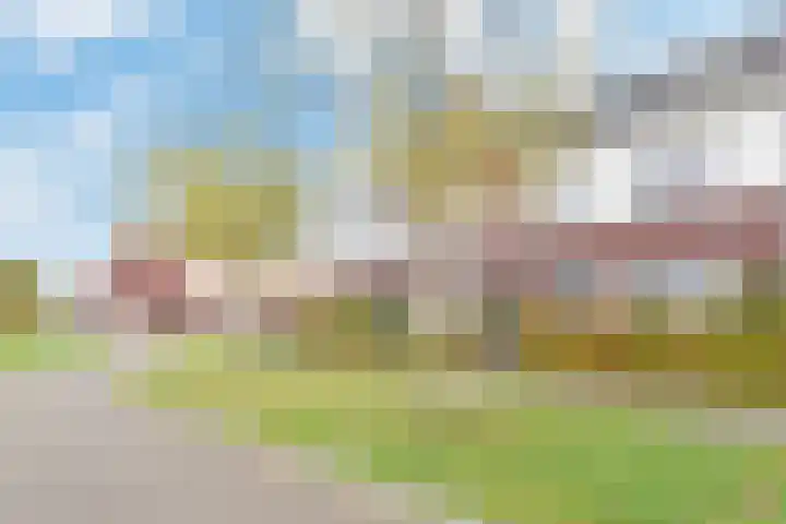 Atalantazoom 21 en Pijnacker