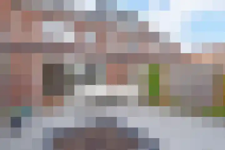 Atalantazoom 21 Pijnacker thumbnail 10