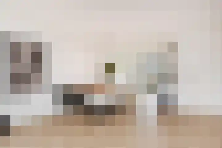 Atalantazoom 21 Pijnacker thumbnail 12