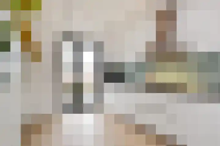 Atalantazoom 21 Pijnacker thumbnail 13