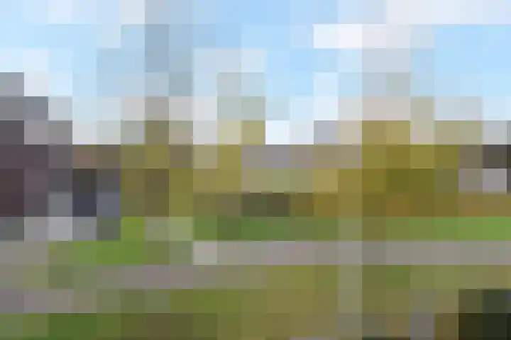 Atalantazoom 21 Pijnacker thumbnail 16