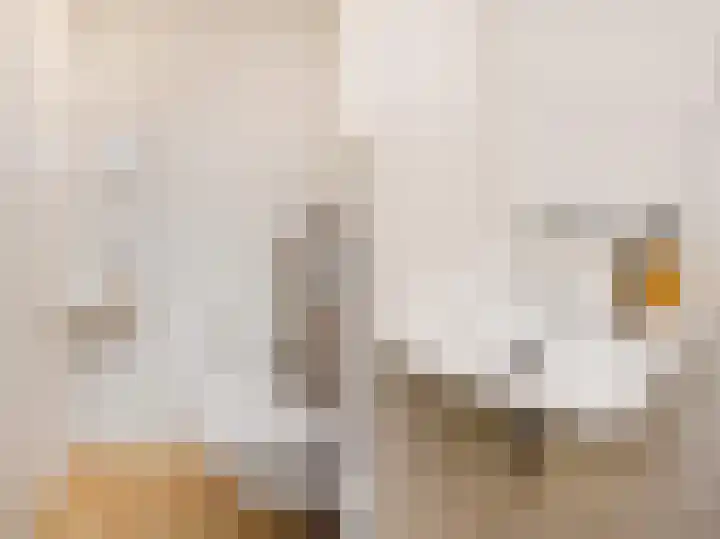 Atalantazoom 21 Pijnacker thumbnail 17