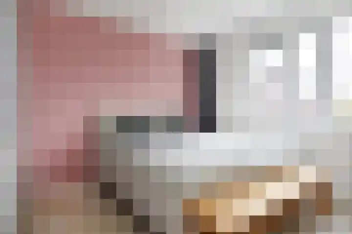 Atalantazoom 21 Pijnacker thumbnail 19