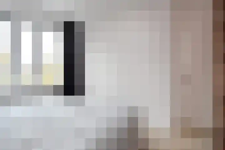 Atalantazoom 21 Pijnacker thumbnail 20