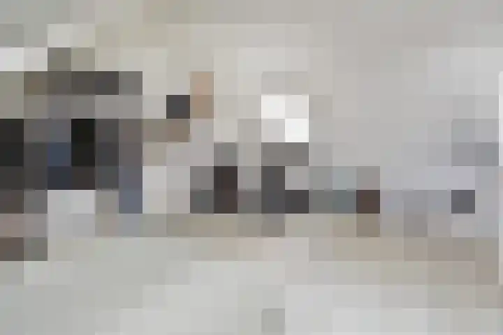 Atalantazoom 21 Pijnacker thumbnail 29