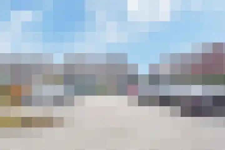 Atalantazoom 21 Pijnacker thumbnail 31