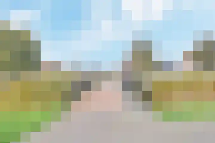 Atalantazoom 21 Pijnacker thumbnail 32