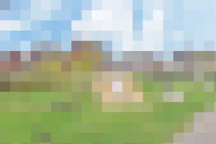Atalantazoom 21 Pijnacker thumbnail 33