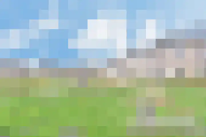 Atalantazoom 21 Pijnacker thumbnail 34