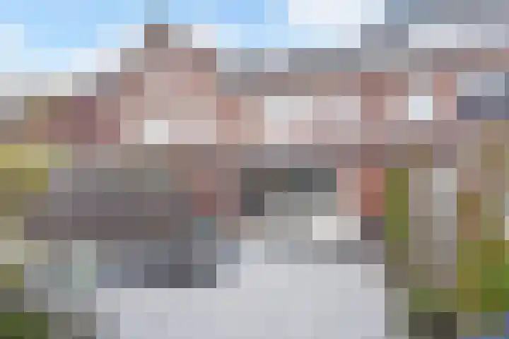 Atalantazoom 21 Pijnacker thumbnail 4