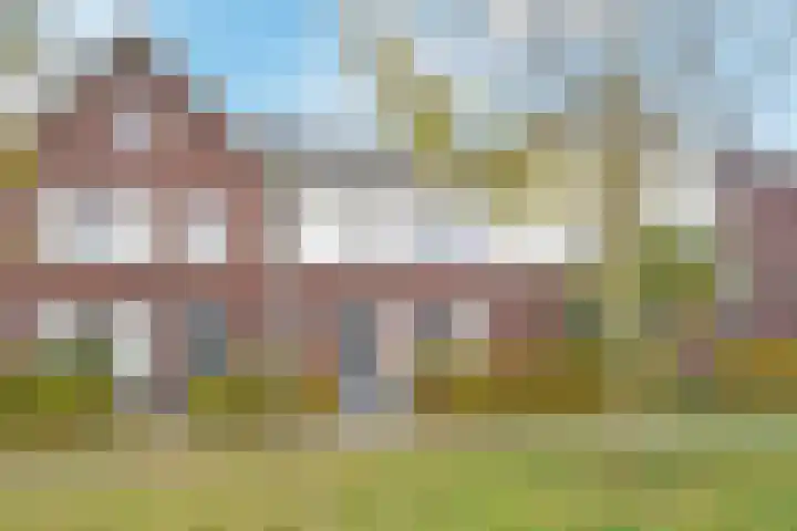 Atalantazoom 21 Pijnacker thumbnail 5