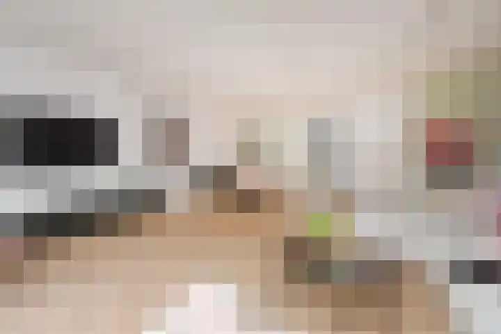 Atalantazoom 21 Pijnacker thumbnail 6