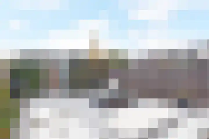 Atalantazoom 21 Pijnacker thumbnail 8