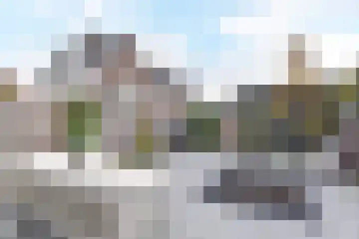 Atalantazoom 21 Pijnacker thumbnail 9