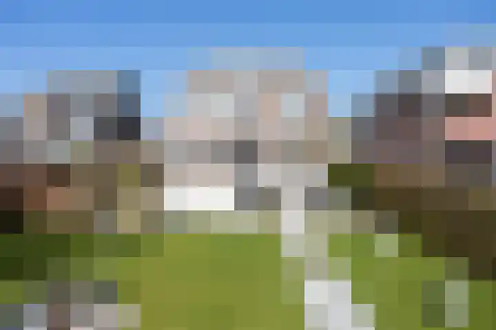 Atalantazoom 33 Pijnacker