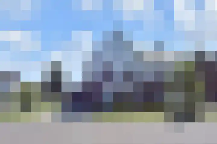 Atalantazoom 33 Pijnacker