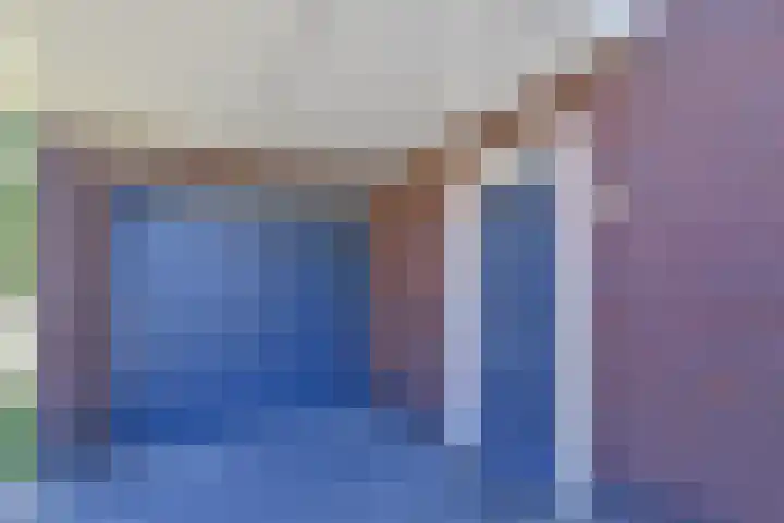 Atalantazoom 33 Pijnacker thumbnail 10