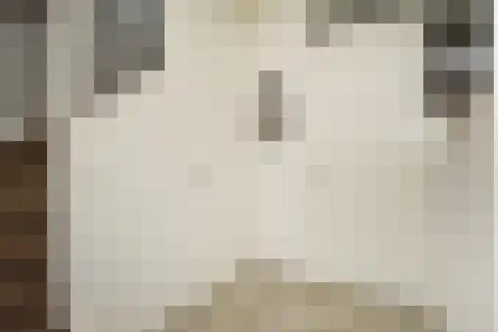 Atalantazoom 33 Pijnacker thumbnail 11