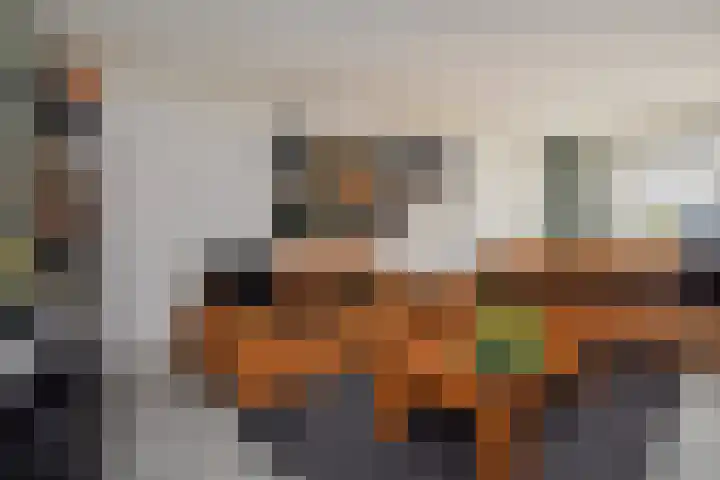 Atalantazoom 33 Pijnacker thumbnail 14