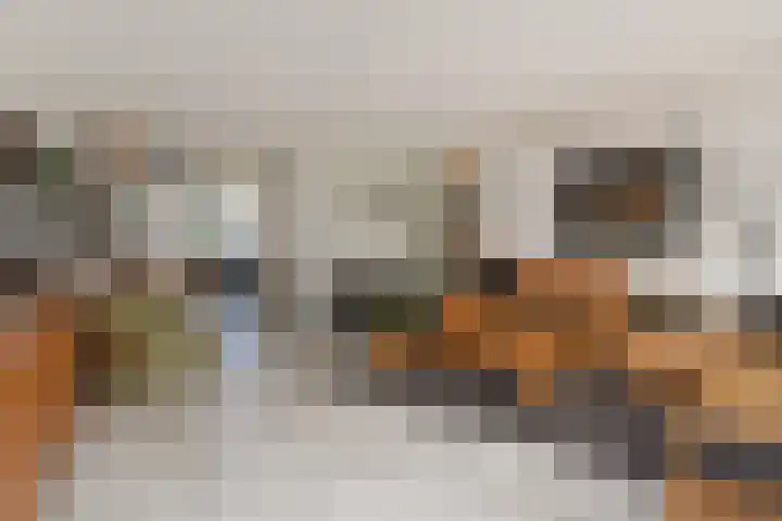 Atalantazoom 33 Pijnacker thumbnail 15