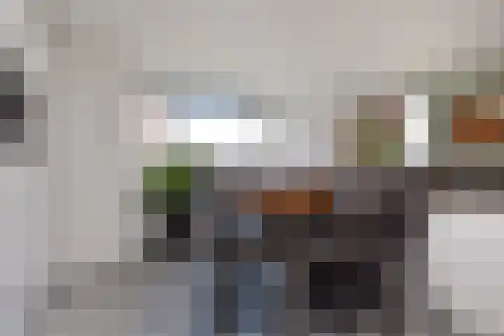 Atalantazoom 33 Pijnacker thumbnail 19