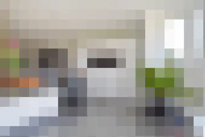 Atalantazoom 33 Pijnacker thumbnail 22