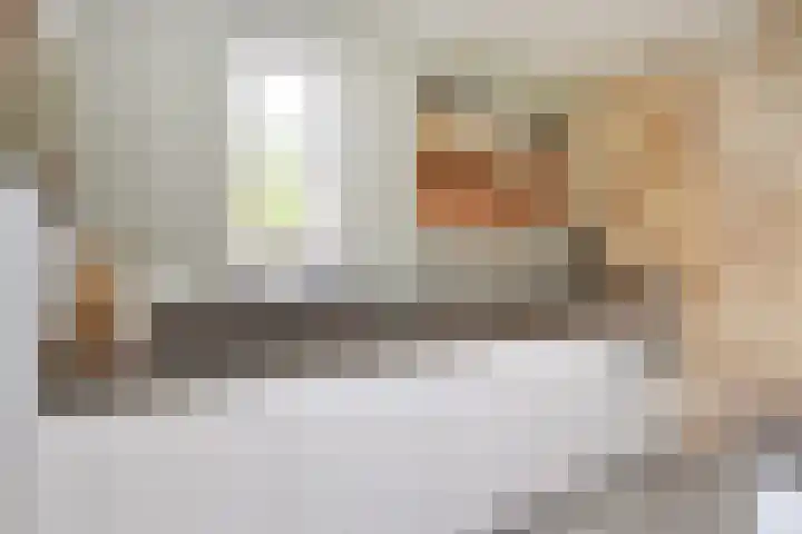 Atalantazoom 33 Pijnacker thumbnail 24