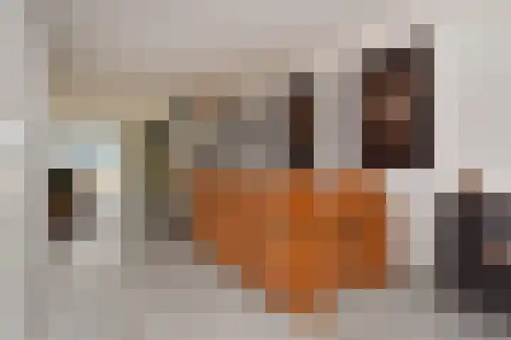Atalantazoom 33 Pijnacker thumbnail 26