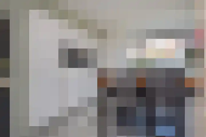 Atalantazoom 33 Pijnacker thumbnail 28