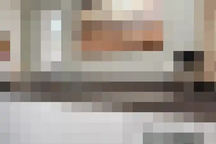 Atalantazoom 33 Pijnacker thumbnail 29