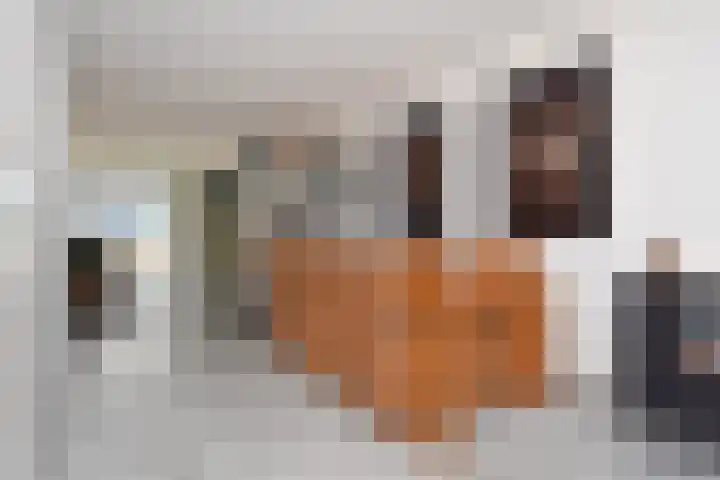 Atalantazoom 33 Pijnacker thumbnail 31