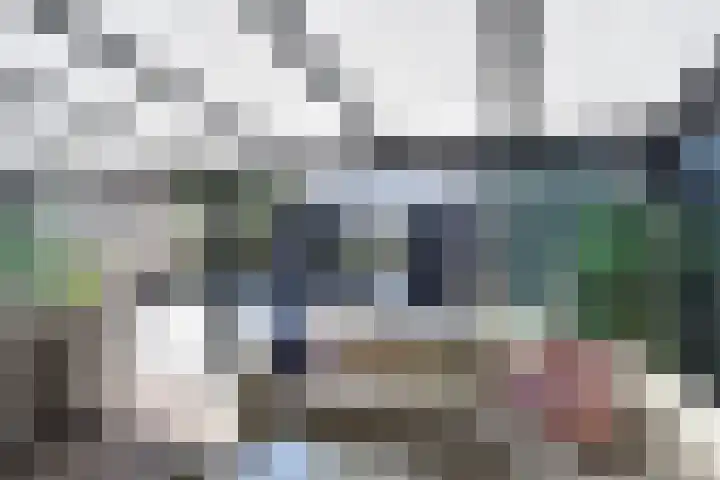 Atalantazoom 33 Pijnacker thumbnail 32