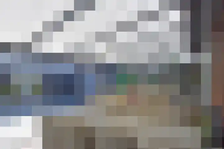 Atalantazoom 33 Pijnacker thumbnail 33