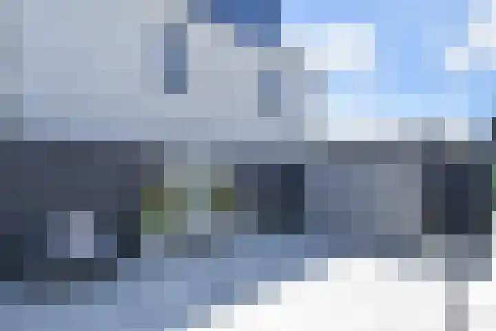 Atalantazoom 33 Pijnacker thumbnail 34