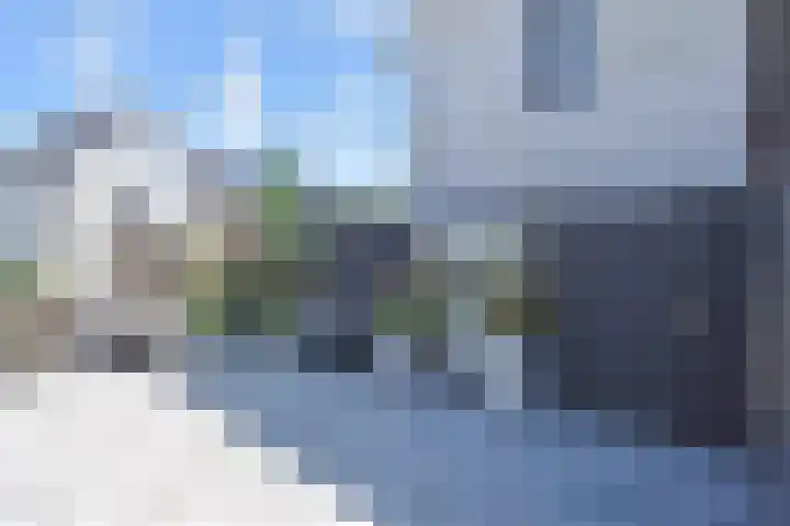 Atalantazoom 33 Pijnacker thumbnail 35