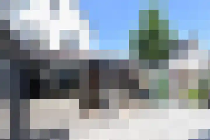 Atalantazoom 33 Pijnacker thumbnail 36