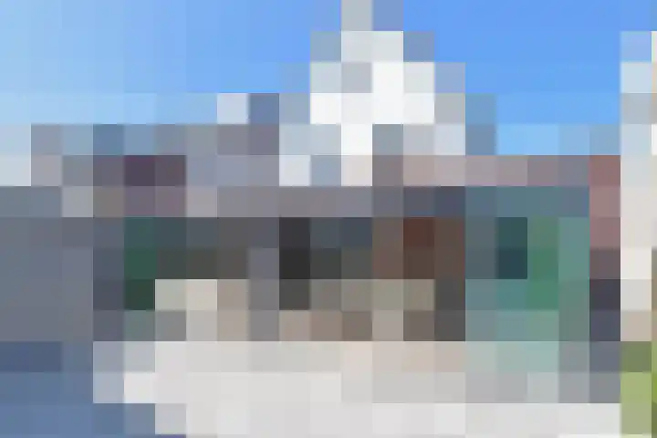Atalantazoom 33 Pijnacker thumbnail 37