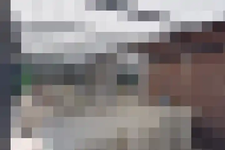 Atalantazoom 33 Pijnacker thumbnail 38