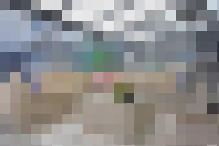 Atalantazoom 33 Pijnacker thumbnail 39