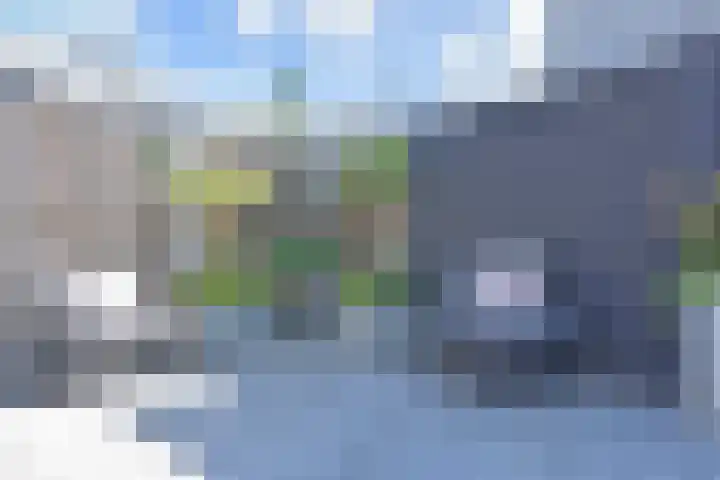 Atalantazoom 33 Pijnacker thumbnail 40