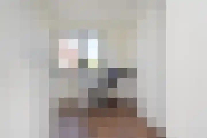 Atalantazoom 33 Pijnacker thumbnail 43