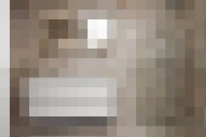 Atalantazoom 33 Pijnacker thumbnail 46