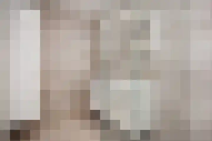 Atalantazoom 33 Pijnacker thumbnail 48