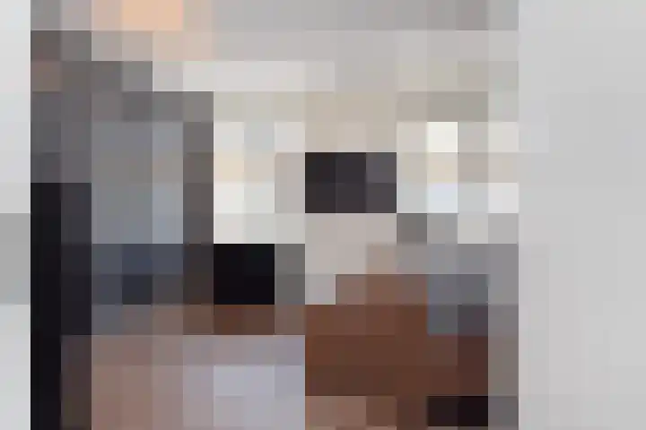 Atalantazoom 33 Pijnacker thumbnail 52