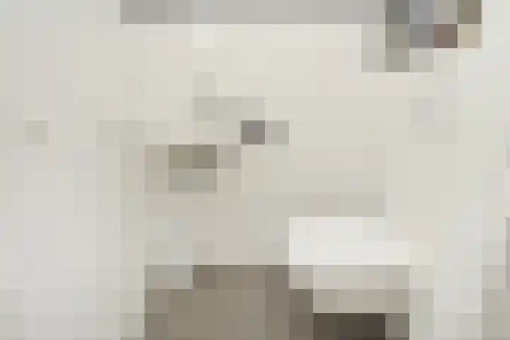 Atalantazoom 33 Pijnacker thumbnail 56