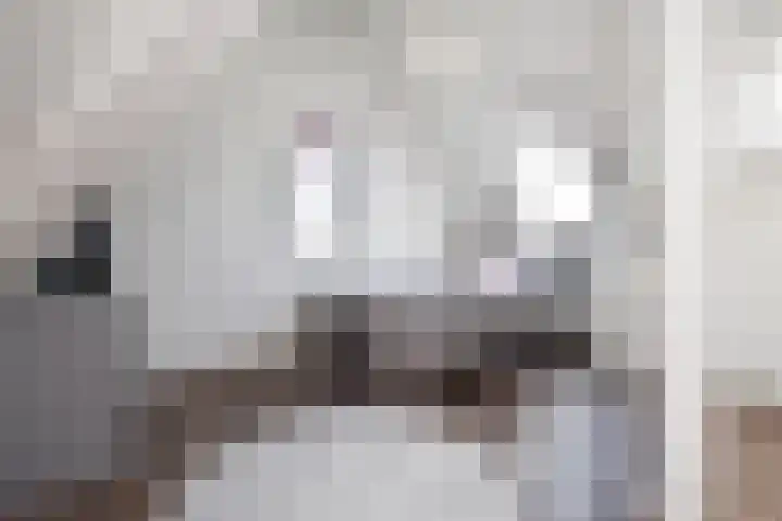 Atalantazoom 33 Pijnacker thumbnail 57